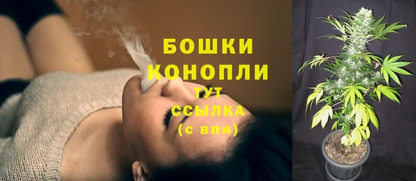 ECSTASY Балахна