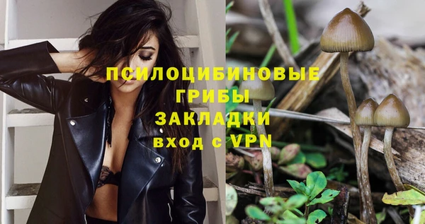 PSILOCYBIN Балабаново