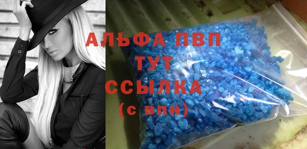 PSILOCYBIN Балабаново