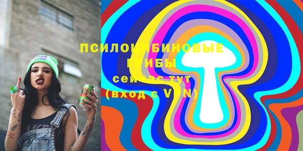PSILOCYBIN Балабаново