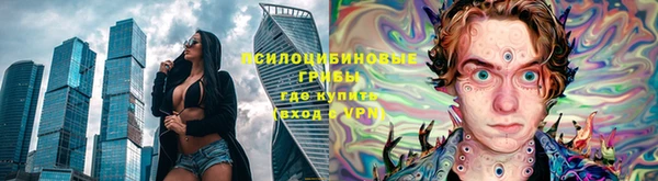 PSILOCYBIN Балабаново