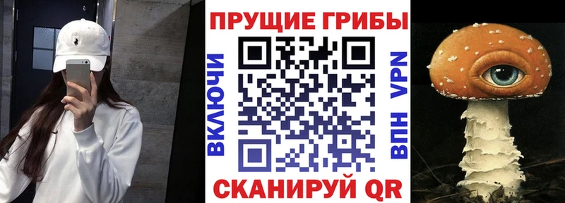 Галлюциногенные грибы Magic Shrooms Заозёрск